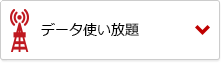 データ使い放題